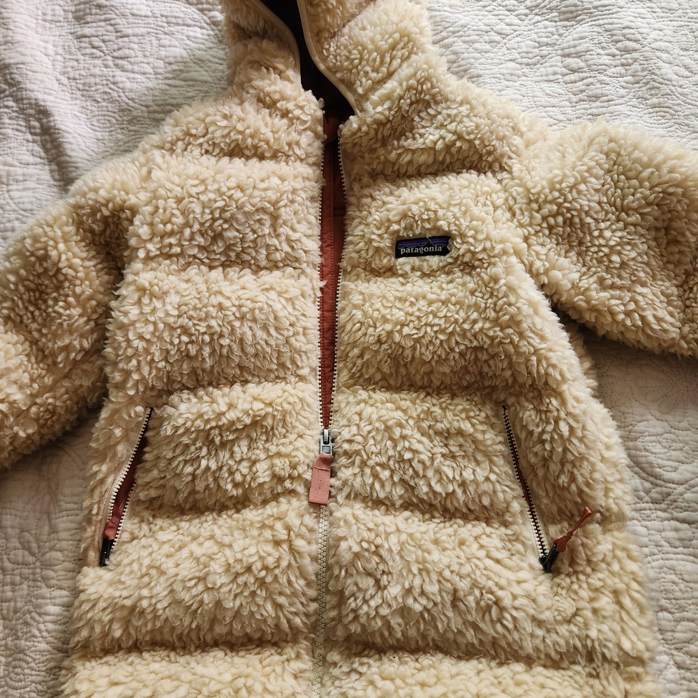 Patagonia Rust Jacket